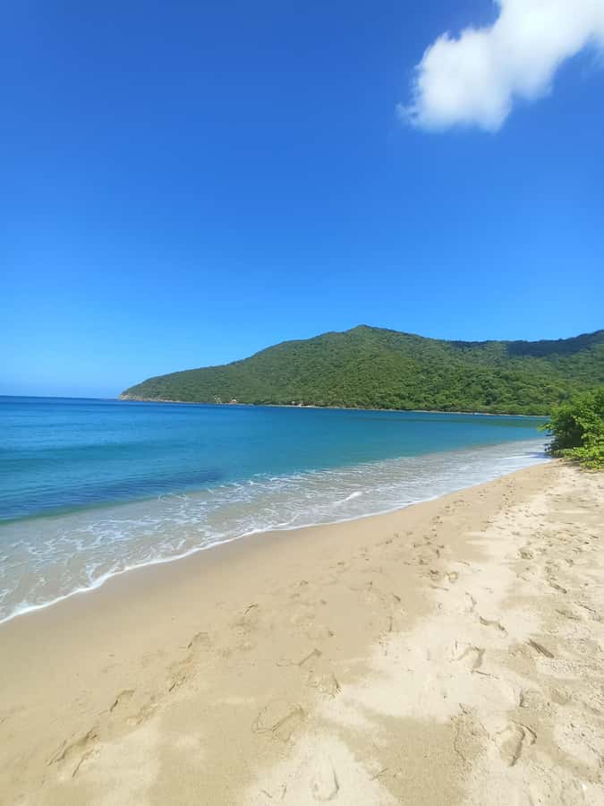 SPEEDBOAT TOUR TO TAYRONA CRISTAL BEACH - Why Playa Cristal is worth the trip