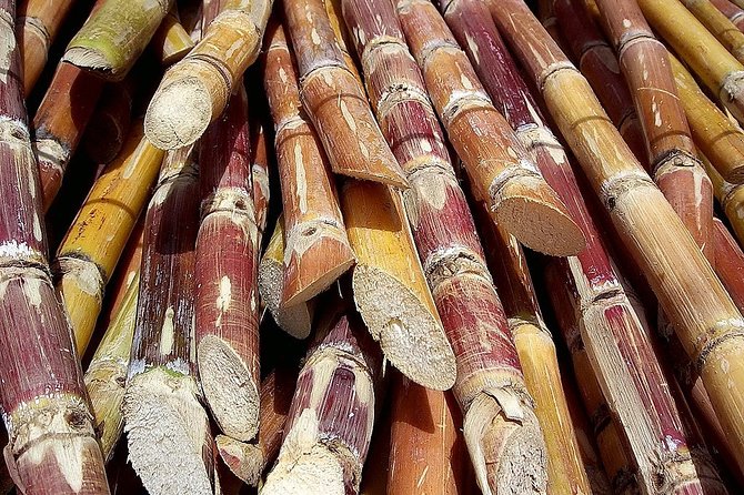 Sugar Cane Hacienda El Paraiso & Nature Day Tour - Leaving Cali for the Cauca Valley