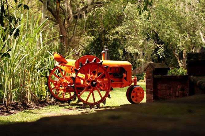 Sugar Cane Museum and Hacienda La María - What makes this Cali day trip worth considering