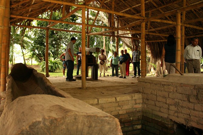Sugar Cane Museum and Hacienda La María - Artisanal wine at Cava Jaramillo Solera