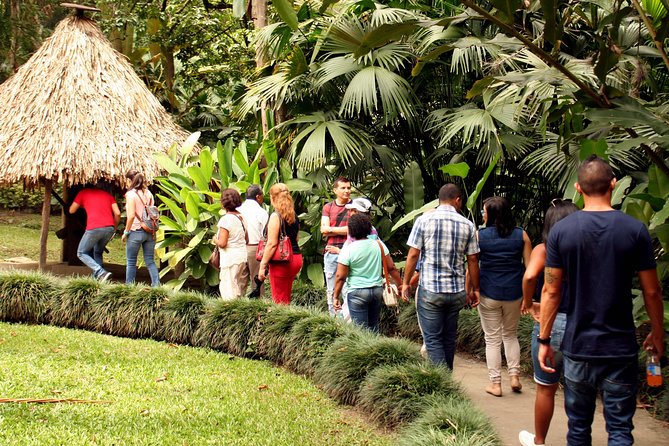 Sugar Cane Museum and Hacienda La María - What the $135 price really covers
