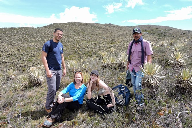 Sumapaz Mountaintop Páramo Trek - 4 hours - Three to four hours across a private páramo reserve