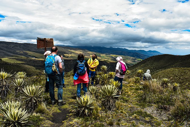 Sumapaz Páramo Private Hike Tour - Why Sumapaz Is Worth Leaving Bogotá For