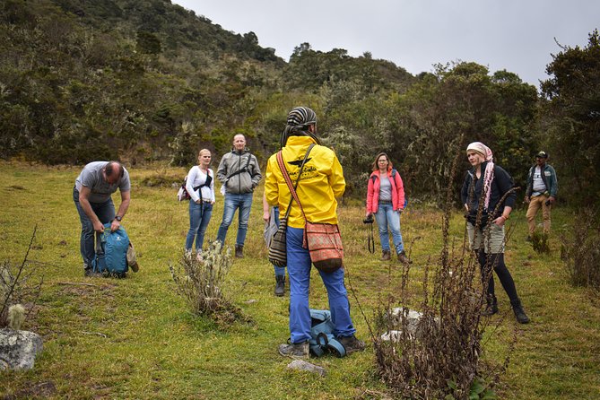 Sumapaz Páramo Private Hike Tour - Walking Into the 178,000-Hectare Páramo