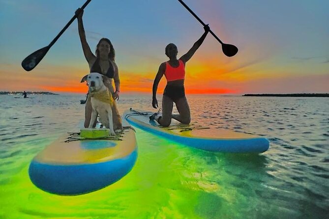 SUNSET GLOW Tour PaddleBoard - Sunset Views From a Glowing Board