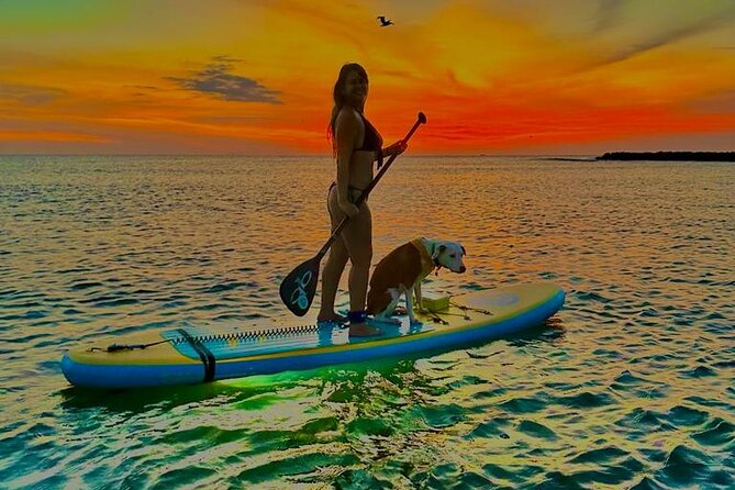 SUNSET GLOW Tour PaddleBoard - Guides Who Make Beginners Feel Comfortable