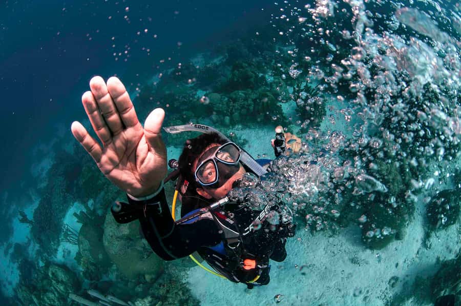 Tayrona National Park: Scuba Diving Tour for Beginners - What the $138 price really includes