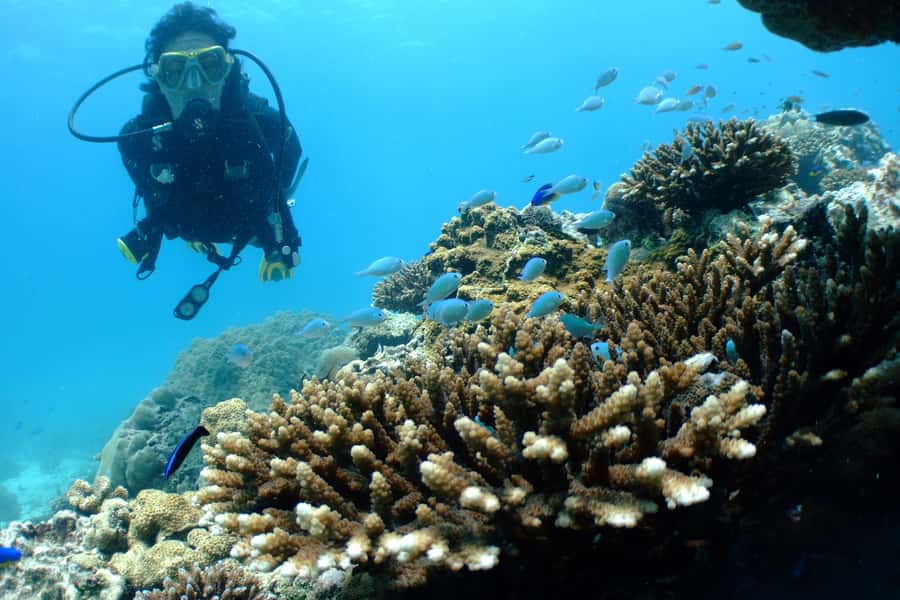 Tayrona National Park: Scuba Diving Tour for Beginners - What to pack for a smoother four hours