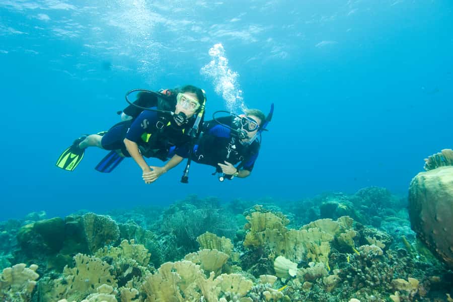 Tayrona National Park: Scuba Diving Tour for Beginners - Booking flexibility and weather concerns