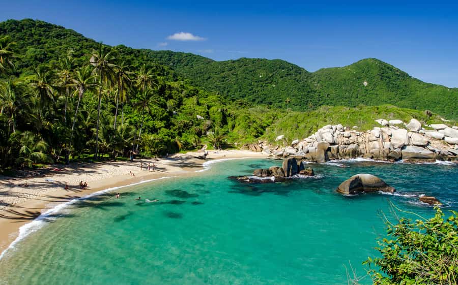 Tayrona Park & Cabo San Juan - Two hours on Tayrona’s ecological trails