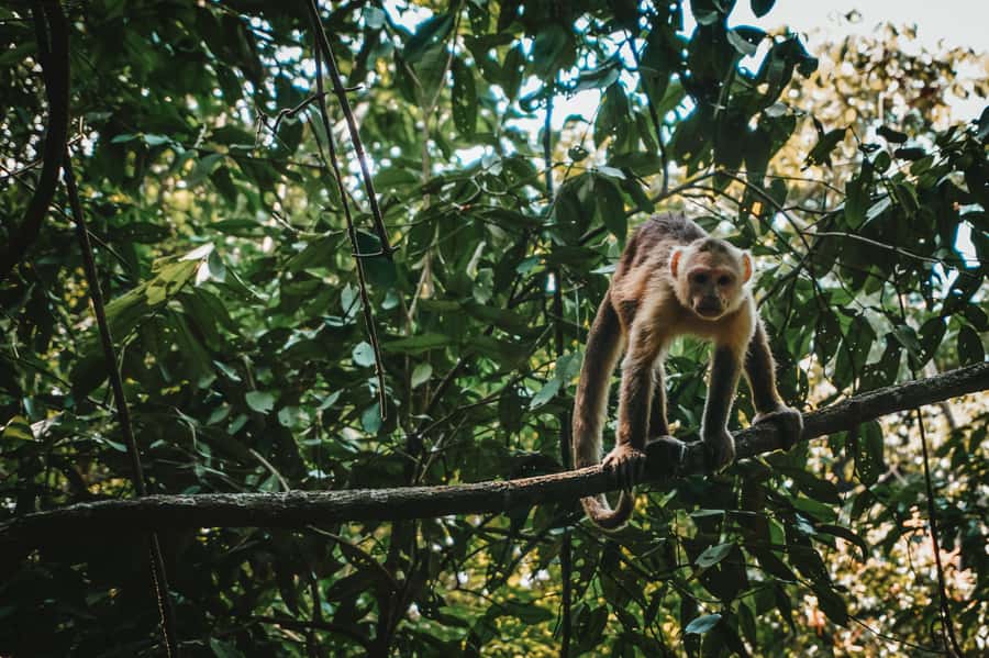 Tayrona Park & Cabo San Juan - El Zaino entry and the short ride to Cañaveral