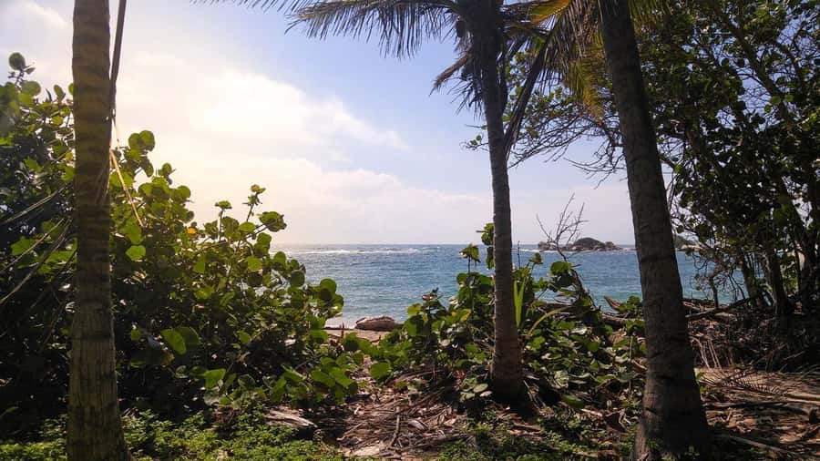 Tayrona Park: Group Tour To Cabo San Juan - Is the tour good value?