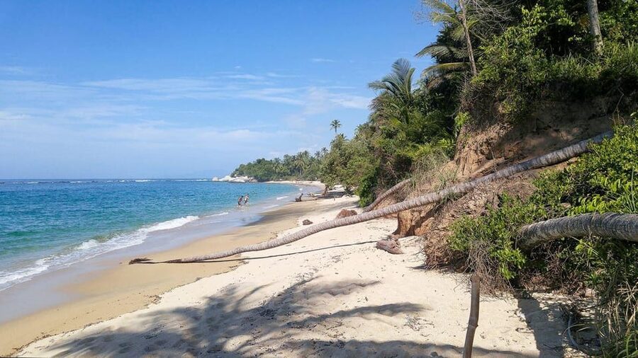 Tayrona Park: Group Tour To Cabo San Juan - Final verdict: book it for the walk, not just the beach