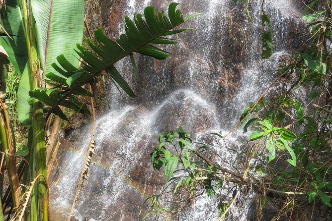 The Anti Coffee tour: a visit to La Cascada Arcoiris Farm - What the $59 price really covers