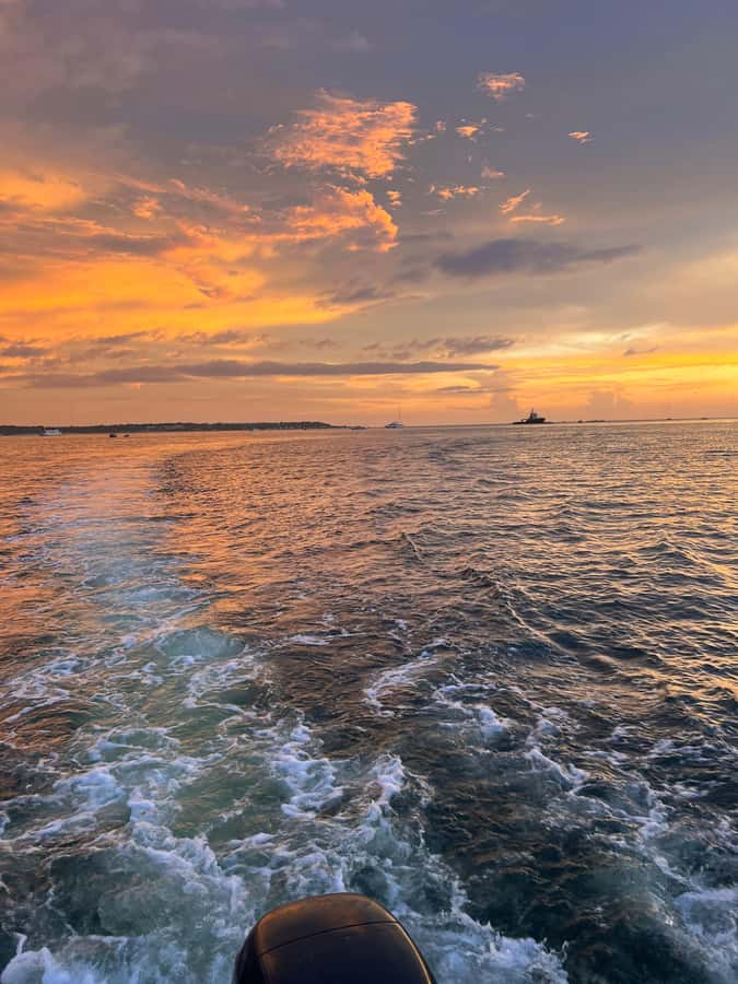 The best sunset tour in the bay: Open bar party & fun - Booking, Cancellation, and Practical Details