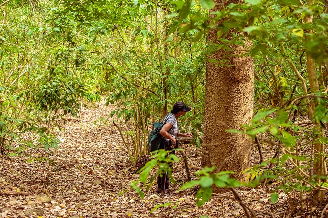 The Howling Trail Hike - Why this forest trip matters