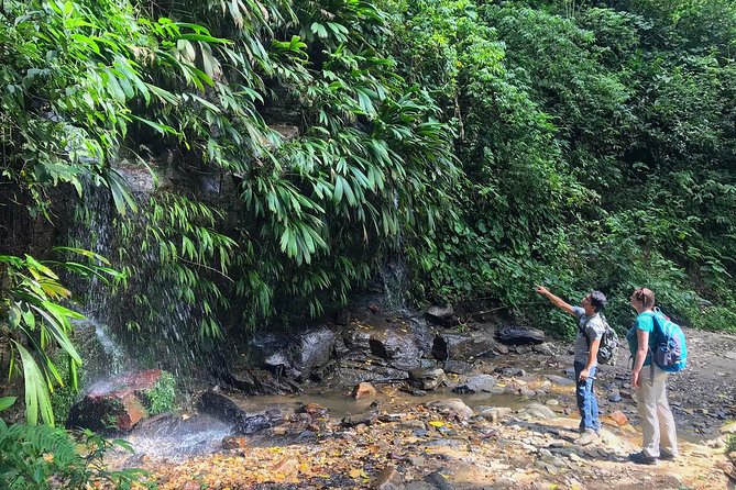 The Native Expedition - Sierra Nevada (2 days Discovering Chorrerón waterfall) - Why this trip feels different from a standard Minca outing