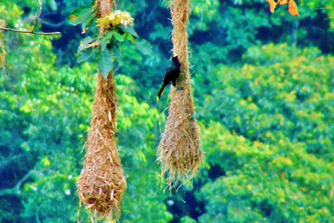 The Native Expedition - Sierra Nevada (2 days Discovering Chorrerón waterfall) - An overnight stay with a local family