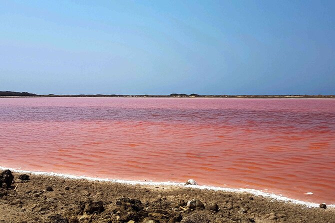 Totumo Volcano and Mar Rosa Tour in Cartagena with Lunch - Galerazamba and the uncertain pink water