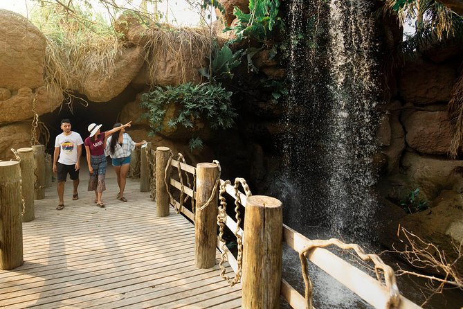 Tour al Aviario Nacional - Key points at a glance