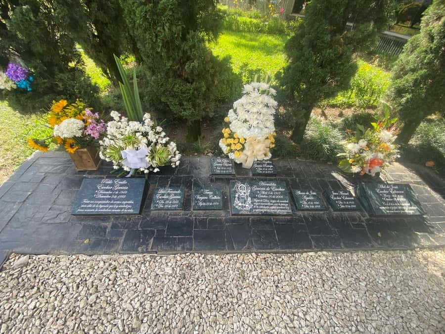 Tour Medellín: Pablo Escobar and Commune 13 - What $115 per person really buys