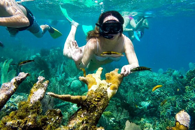Tour of the Rosario Islands, Cartagena - What the $110 price really gets you