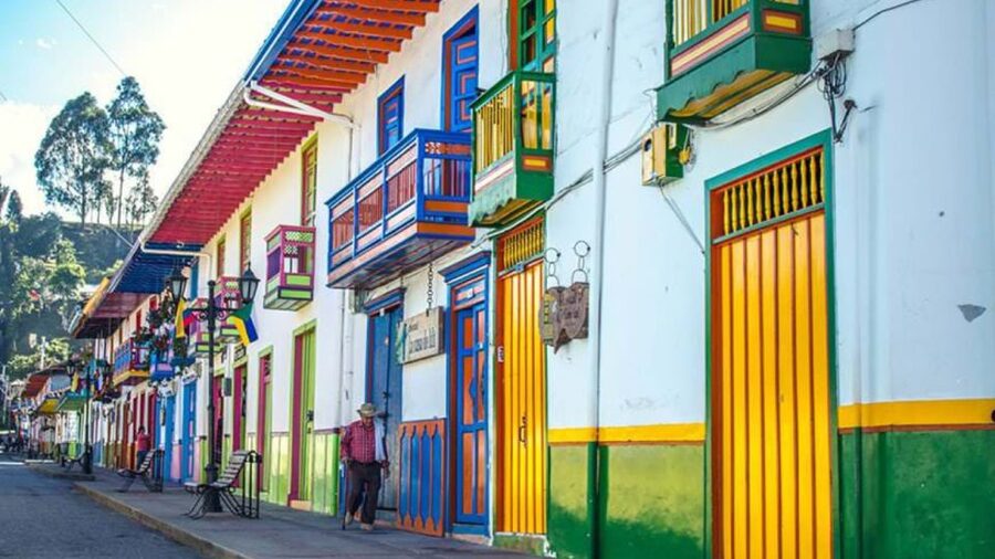 Tour to Salento and Cocora Valley from Pereira or Armenia - A guide-led day with a personal feel