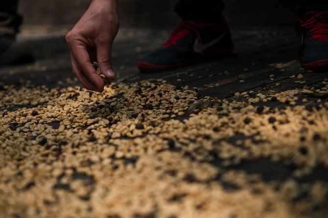 Traditional Coffee Farm Experience at Hacienda Coloma from Bogotá - Leaving Bogotá for the coffee hills