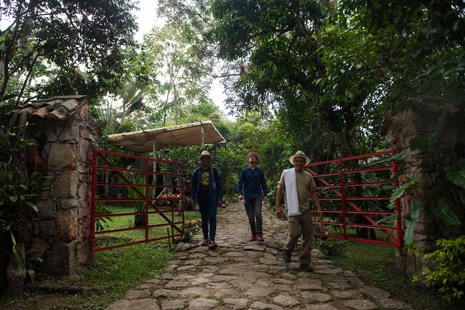 Traditional Coffee Farm Experience at Hacienda Coloma from Bogotá - Practical details and value