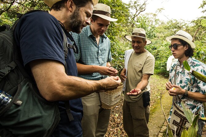 Traditional Coffee Farm Experience at Hacienda Coloma from Bogotá - From seed to cup, with a fresh tasting