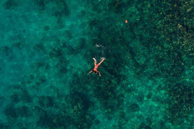 Tranquila Beach and Aquarium Day Tour - The Islas del Rosario Aquarium and marine life