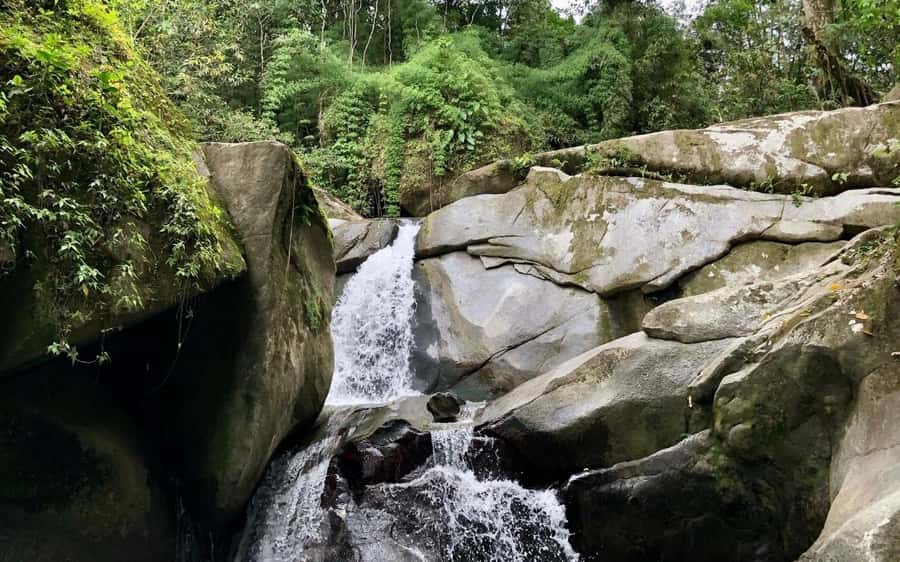 Trekking History and Indigenous Heritage in Minca + Cacao & Coffee + Waterfall - At Cabanas Bosque Cacao, coffee and cacao become culture