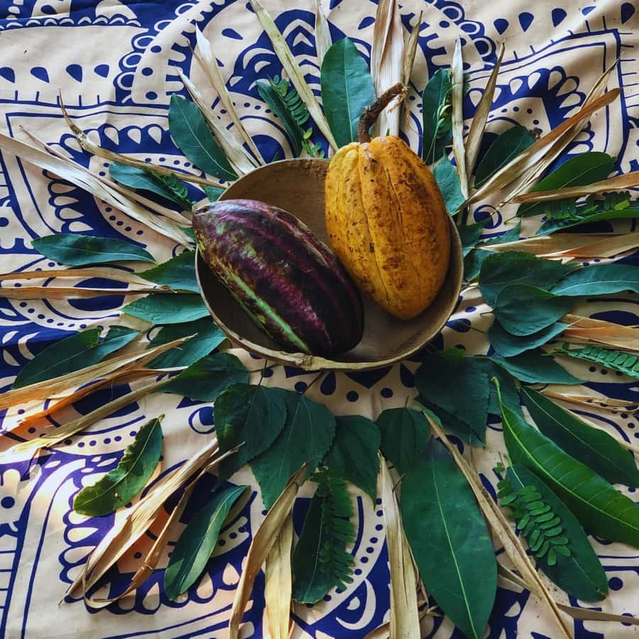 Trekking History and Indigenous Heritage in Minca + Cacao & Coffee + Waterfall - Who will enjoy this Minca experience most