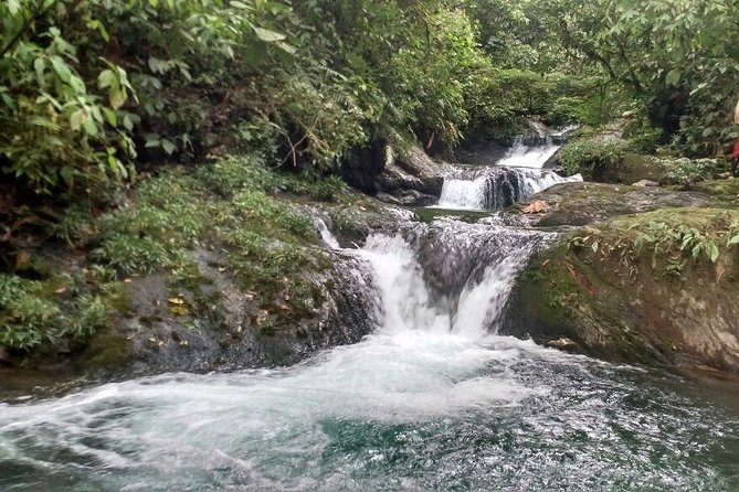 Trekking & Rivering Reserve Pericos - A guide who adds meaning to the walk