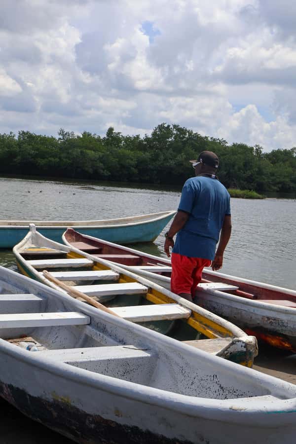 Typical lunch on beach, mangrove tour & fishing with natives - Who should book this Cartagena tour?