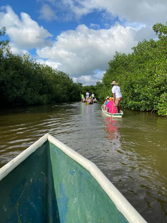 Typical lunch on beach, mangrove tour & fishing with natives - From Cartagena to the coastal community