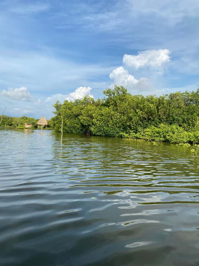 Typical lunch on beach, mangrove tour & fishing with natives - Beach time after lunch