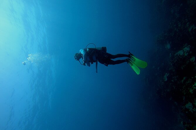 Under a sea of adventures, unforgettable diving. - Key points at a glance