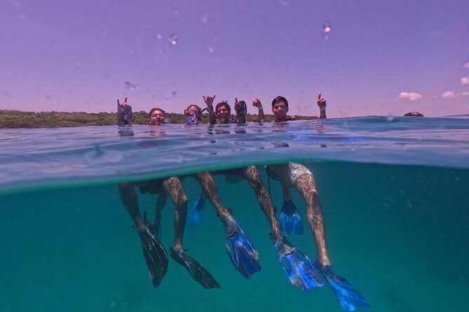 Under a sea of adventures, unforgettable diving. - The first lesson: equipment, breathing, and safety