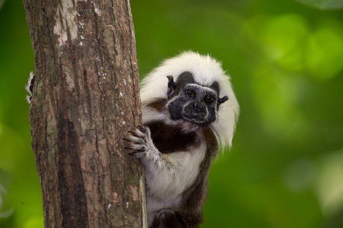 UTV Safari in a Wildlife-Filled Nature Reserve Near Cartagena - Key things to know before you go