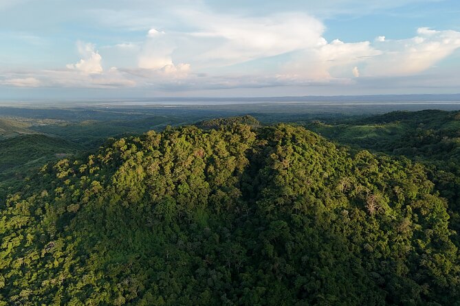 UTV Safari in a Wildlife-Filled Nature Reserve Near Cartagena - Looking for parrots, monkeys, and other native animals