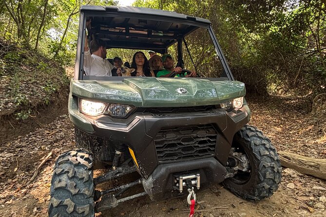 UTV Safari in a Wildlife-Filled Nature Reserve Near Cartagena - Planting a tree gives the visit a lasting purpose