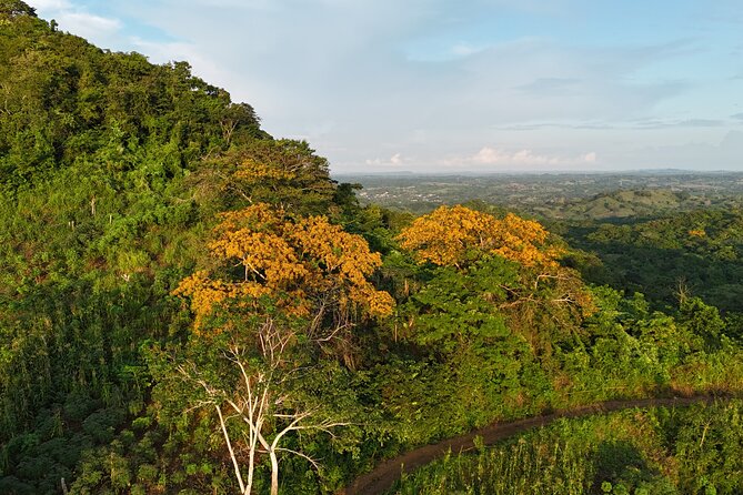 UTV Thrills & Horseback Ride at Wildlife Paradise Near Cartagena - A guide-driven UTV ride through the reserve