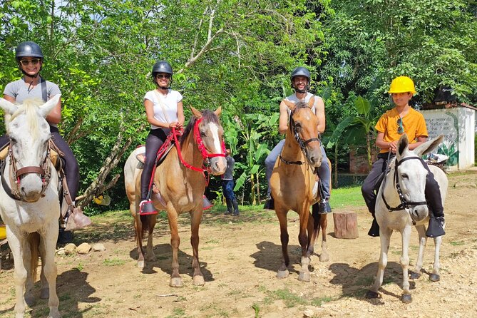 UTV Thrills & Horseback Ride at Wildlife Paradise Near Cartagena - Tree planting and the working countryside