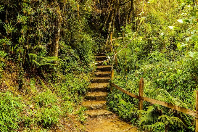 VIP Salt Cathedral & Lake Guatavita Tour from Bogota, 12hr - Lake Guatavita and the El Dorado story