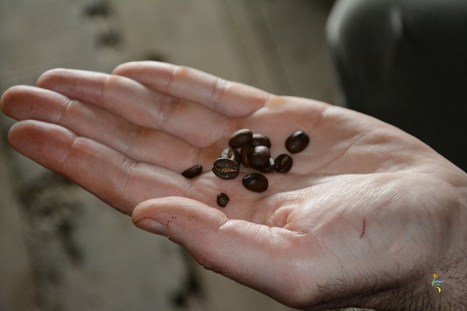 Visit and live a colombian coffee plantation (group tour) - Two hours at the coffee farm