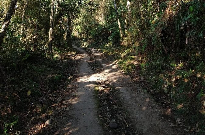 Visit to Chicaque Natural Park Private Tour from Bogotá. (8 Hrs.) - Reaching Pico del Águila at 2,900 meters