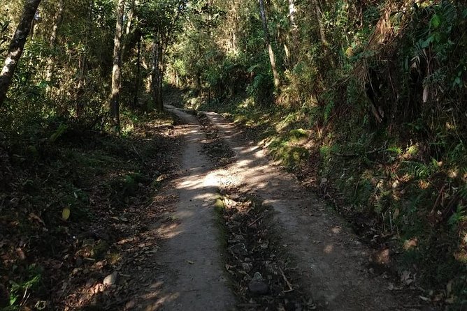 Visit to Chicaque Natural Park Private Tour from Bogotá. (8 Hrs.) - What makes the private guide worthwhile