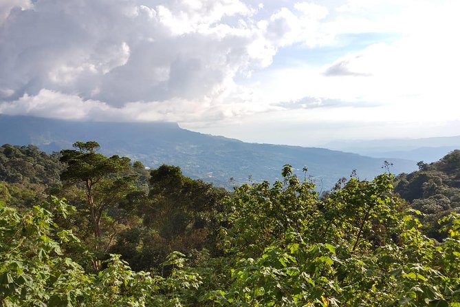 Visit to Chicaque Natural Park Private Tour from Bogotá. (8 Hrs.) - Weather, timing, and cancellation