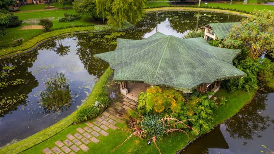Walking tour José Celestino Mutis Botanical Garden 3 hrs - Key points at a glance